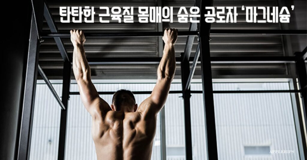 다이어트
